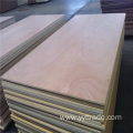 Okoume Plywood